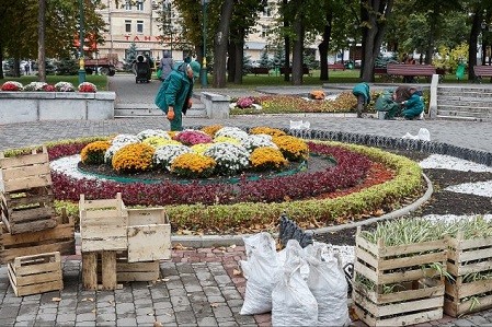 Клумбы в сквере у Зеркальной струи готовят к холодам