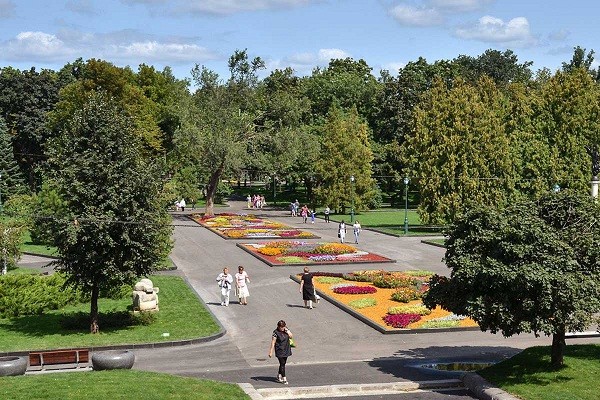В саду Шевченко высадят более 1 тысячи деревьев