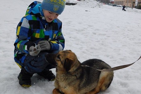 В Харькове объявлен конкурс на лучшую смешную историю о домашних питомцах