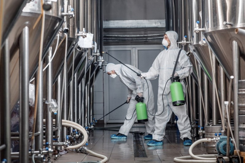 Дезинсекция на предприятиях пищевой промышленности: правила и нормы безопасности