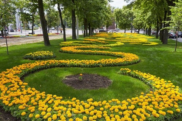 В Харькове заканчивается сезон посадки цветов