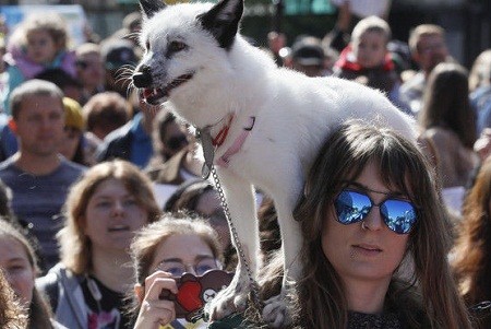 На площади Свободы пройдет шествие, посвященное Дню животных