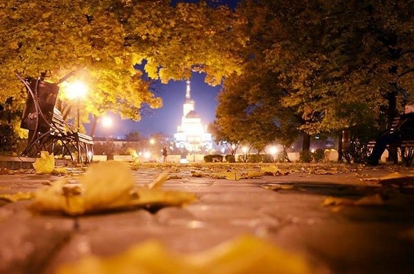 Ноябрь в Харькове был рекордно тёплым