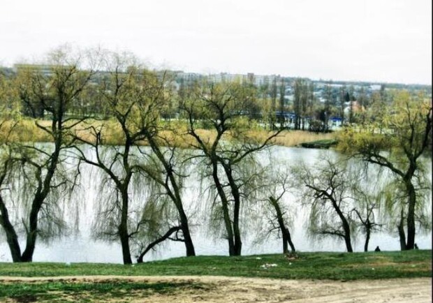 Харьковское водохранилище. Петренковский пруд Харьков. Харьков фото озера.