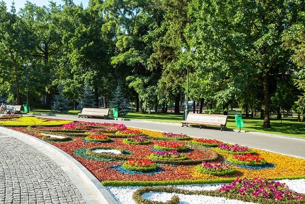 В саду Шевченко создают новые клумбы с лебедями, маками и яркими узорами