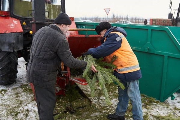 Харьковские коммунальщики начали утилизировать новогодние елки