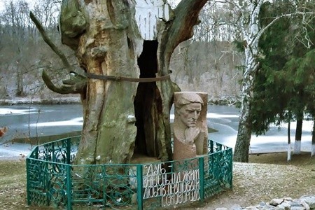 На Харьковщине 700-летний дуб Сковороды спрячут под стекло
