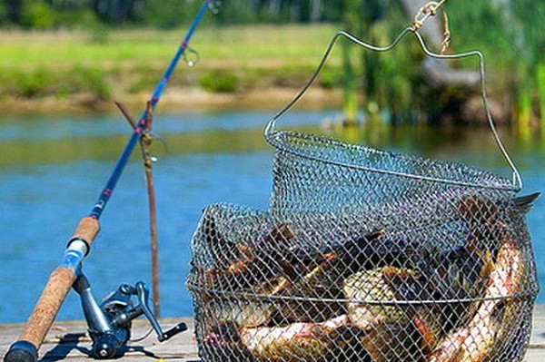 Харьковский рыбнадзор опубликовал рыбные места на 2019 год