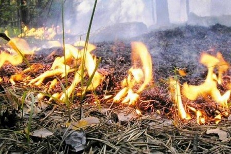 В Харьковской области объявили чрезвычайный уровень пожароопасности
