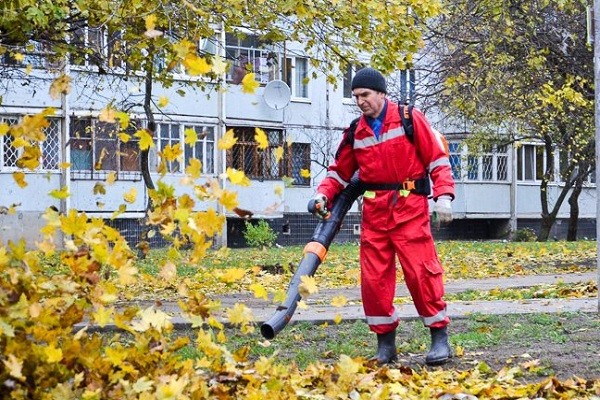 Во дворах жилых домов Харькова проходит уборка листвы