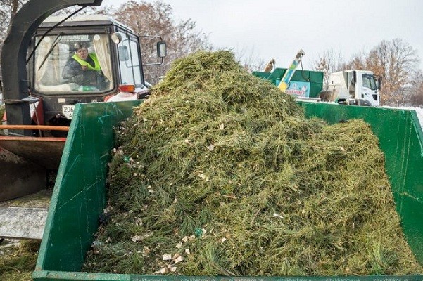 В Харькове работают три пункта утилизации ёлок