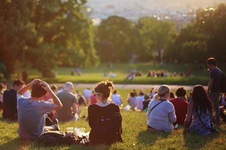 Харьковчан приглашают на «Культурные пикники»‎