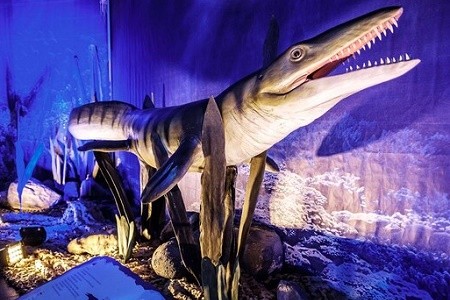 Харьковчан приглашают посмотреть на динозавров подводного мира