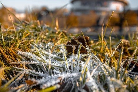 В Харькове зафиксировали самые поздние осенние заморозки