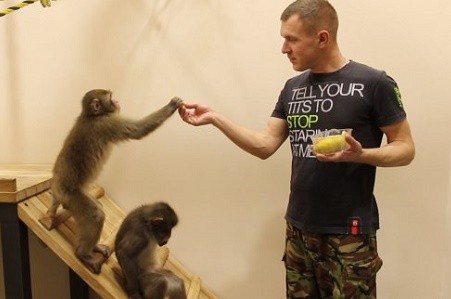 В Харьковском зоопарке пройдут показательные кормления животных