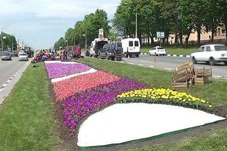 По проспекту Гагарина проводится высадка цветов