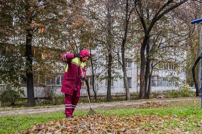 В Харькове – сезон уборки листвы
