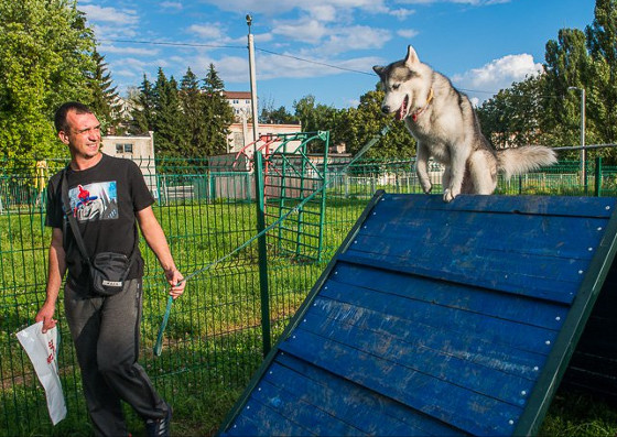 площадка