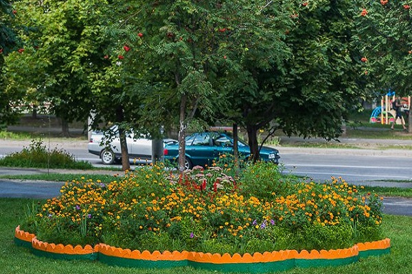 клумба