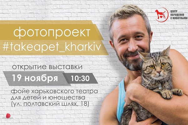 бездомные