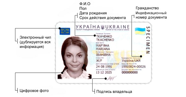 паспорт