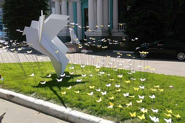 бабочки