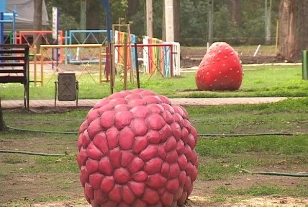 фрукты