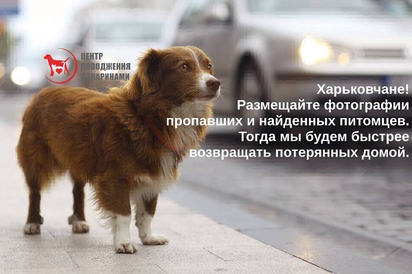 служба