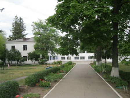 соколенок