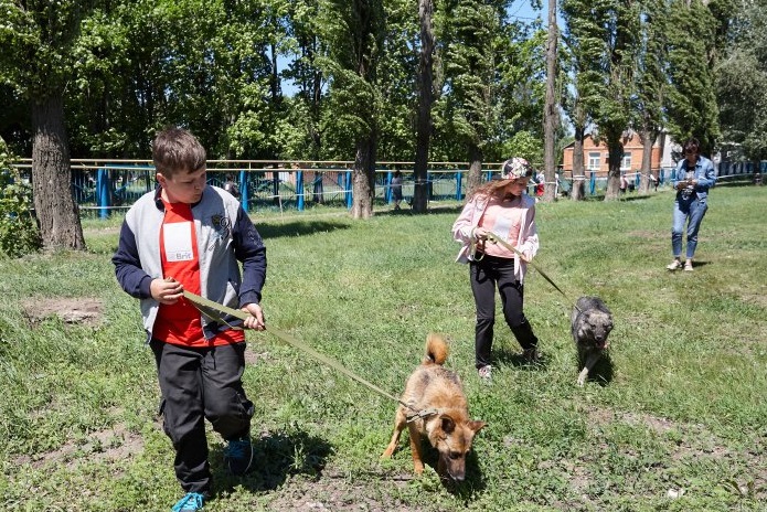рекорд