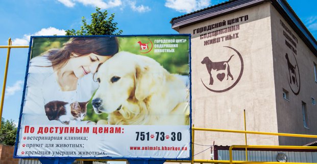 приют