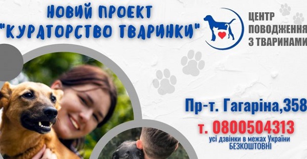 приют
