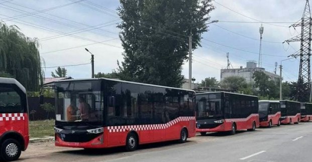 автобусы